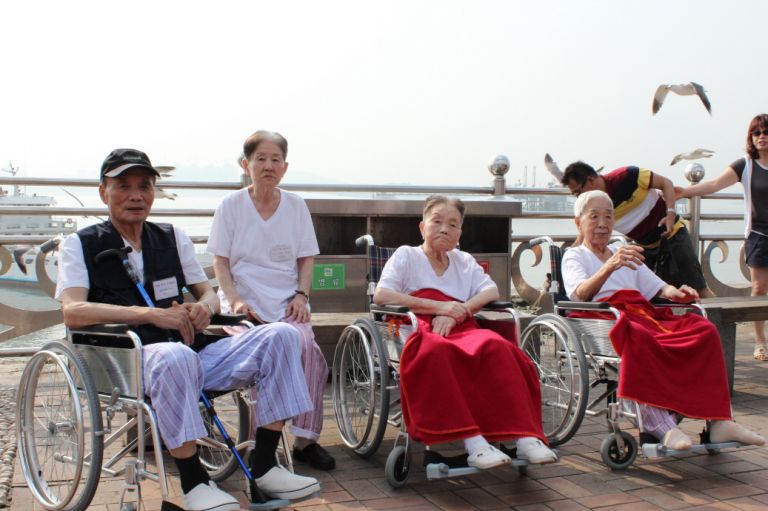 어르신들 갈매기와 함께^^